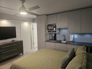 Studio kitchenette with built-in cabinets and hidden refrigerator