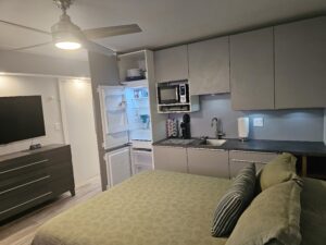 Studio kitchenette with built-in cabinets and hidden refrigerator